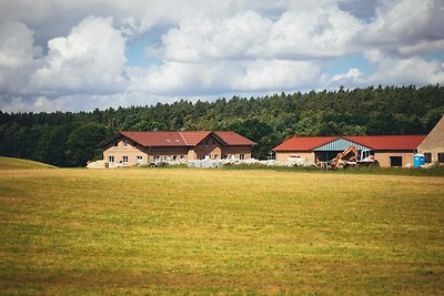 Ferienwohnung Adlerhorst