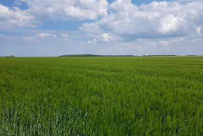 Unterkunft Quäkenpüker, Kamin, WLAN, Terrasse