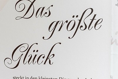 Ferienwohnung Deichliebe