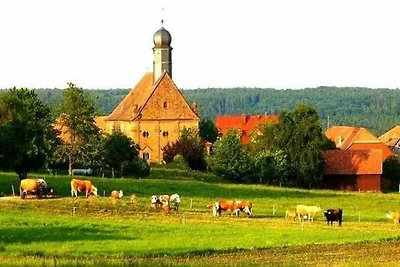 Albergo Cultura ed escursioni Miltenberg