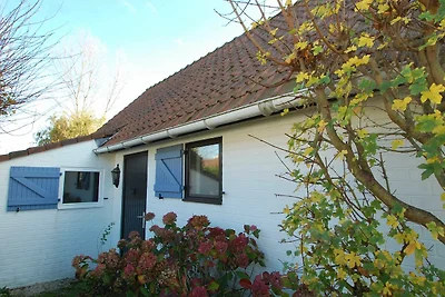 Vakantiehuis Ontspannende vakantie De Panne