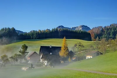 Ferienwohnung Wolfgangsee