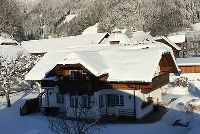 Vakantieappartement Gezinsvakantie Haus im Ennstal