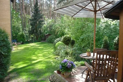 1-Raum-Appartement (u.a. App. 5, App.