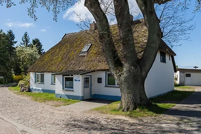 Vakantieappartement Gezinsvakantie Groß Zicker
