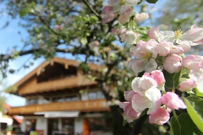 Appartamento Vacanza con famiglia Schliersee