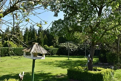 Appartamento Vacanza con famiglia Westoverledingen