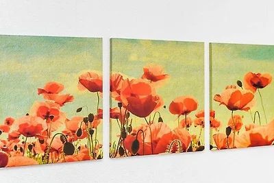 Ferienwohnung Kiebitznest