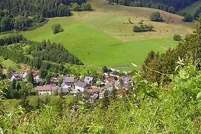 Vakantieappartement Gezinsvakantie Gräfenthal