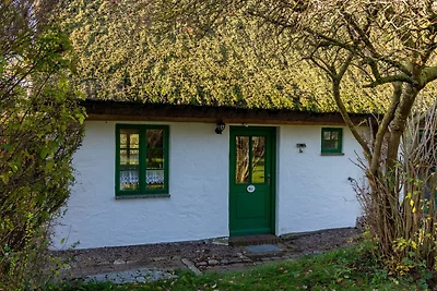 Albergo Cultura ed escursioni Neuenkirchen