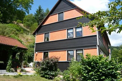 Vakantieappartement Gezinsvakantie Wildemann