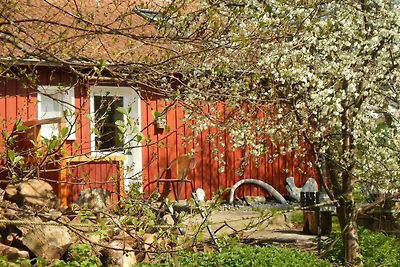 Appartamento Vacanza con famiglia Hiddensee