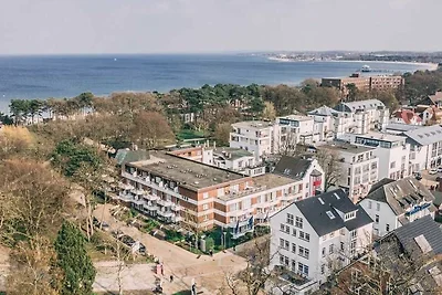 Silbermoewe