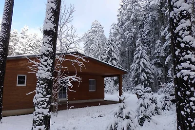 Albergo Cultura ed escursioni Lychen