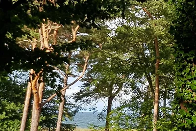 Strandhaus auf der Düne 1. Reihe