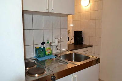 Grauer Esel E2