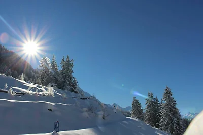 Hochmoor XL