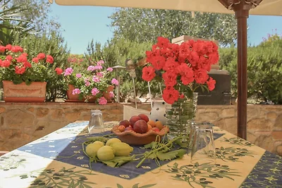 Vakantiehuis Ontspannende vakantie Siena