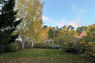 Ferienwohnung Seeigel