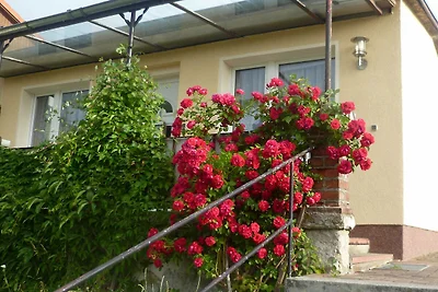 Ferienhaus 1
