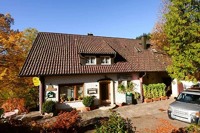 Appartamento Vacanza con famiglia Bad Peterstal-Griesbach