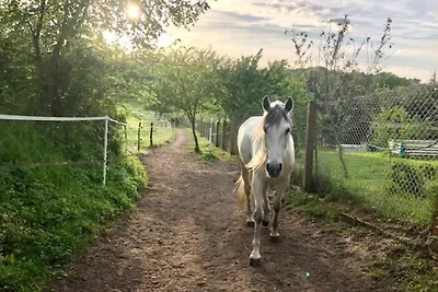 Appartamento Vacanza con famiglia Märkische Heide