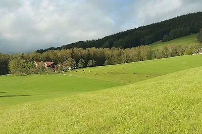 Dachsteinblick