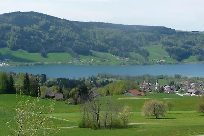 apartman za odmor Obiteljski odmor Zell am Moos