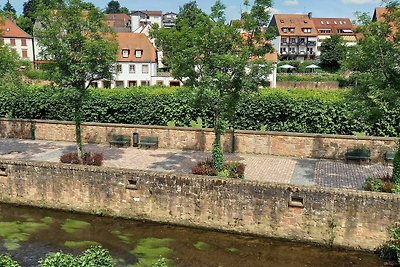 Vakantieappartement Gezinsvakantie Erbach im Odenwald