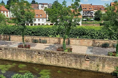 Appartamento Vacanza con famiglia Erbach im Odenwald