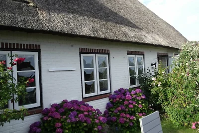 Vakantieappartement Gezinsvakantie Pommerby