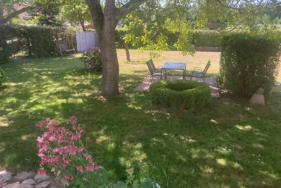 Vakantieappartement Gezinsvakantie Mellenthin