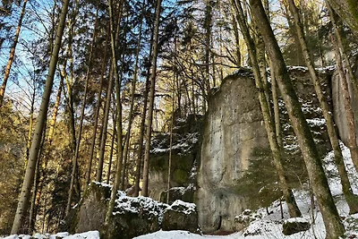 Apartamento Vacaciones familiares Pottenstein