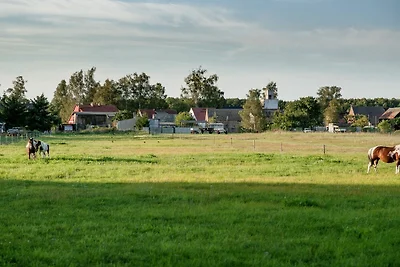 Casa vacanze Vacanza di relax Mönkebude