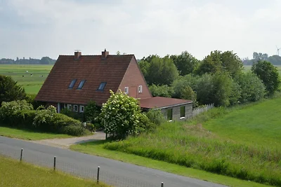 Casa vacanze Vacanza di relax Butjadingen