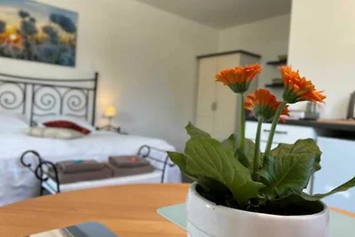 Ferienappartement 01 mit Terrasse