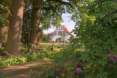 Vakantieappartement Gezinsvakantie Tecklenburg
