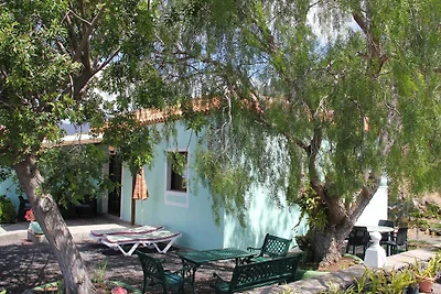 Casa Bejenado A