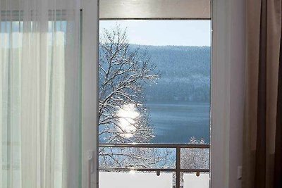 Albergo Cultura ed escursioni Titisee-Neustadt