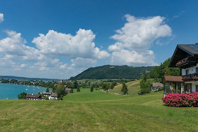 Appartamento Vacanza con famiglia Weyregg am Attersee