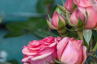 Appartamento Vacanza con famiglia Oberhofen am Irrsee