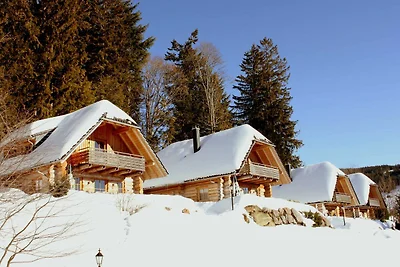Albergo Cultura ed escursioni Todtnau