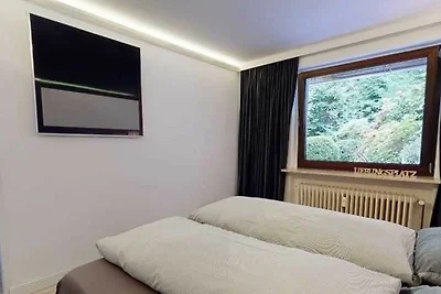 2 Zi.-FeWo 1, 50m²,souterrain,Terrasse, Kamin