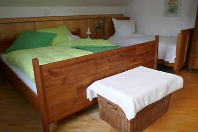 Vakantieappartement Gezinsvakantie Michelstadt