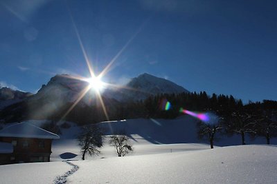 Vakantieappartement Gezinsvakantie Spital am Pyhrn