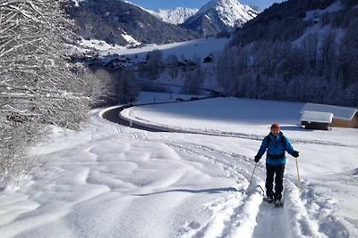 Vakantieappartement Gezinsvakantie Au in Vorarlberg