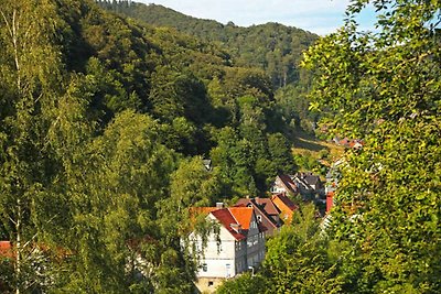 Vakantieappartement Gezinsvakantie Osterode