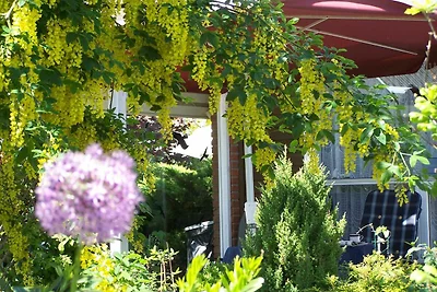 Ferienhaus Füllgraf