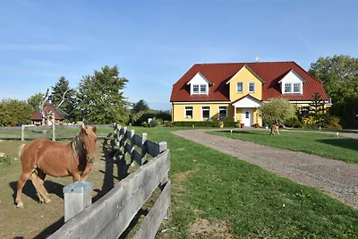 Nr. 4 Fewo Landhaus OG / Meerblick