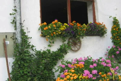 Ferienwohnung Aiplspitz